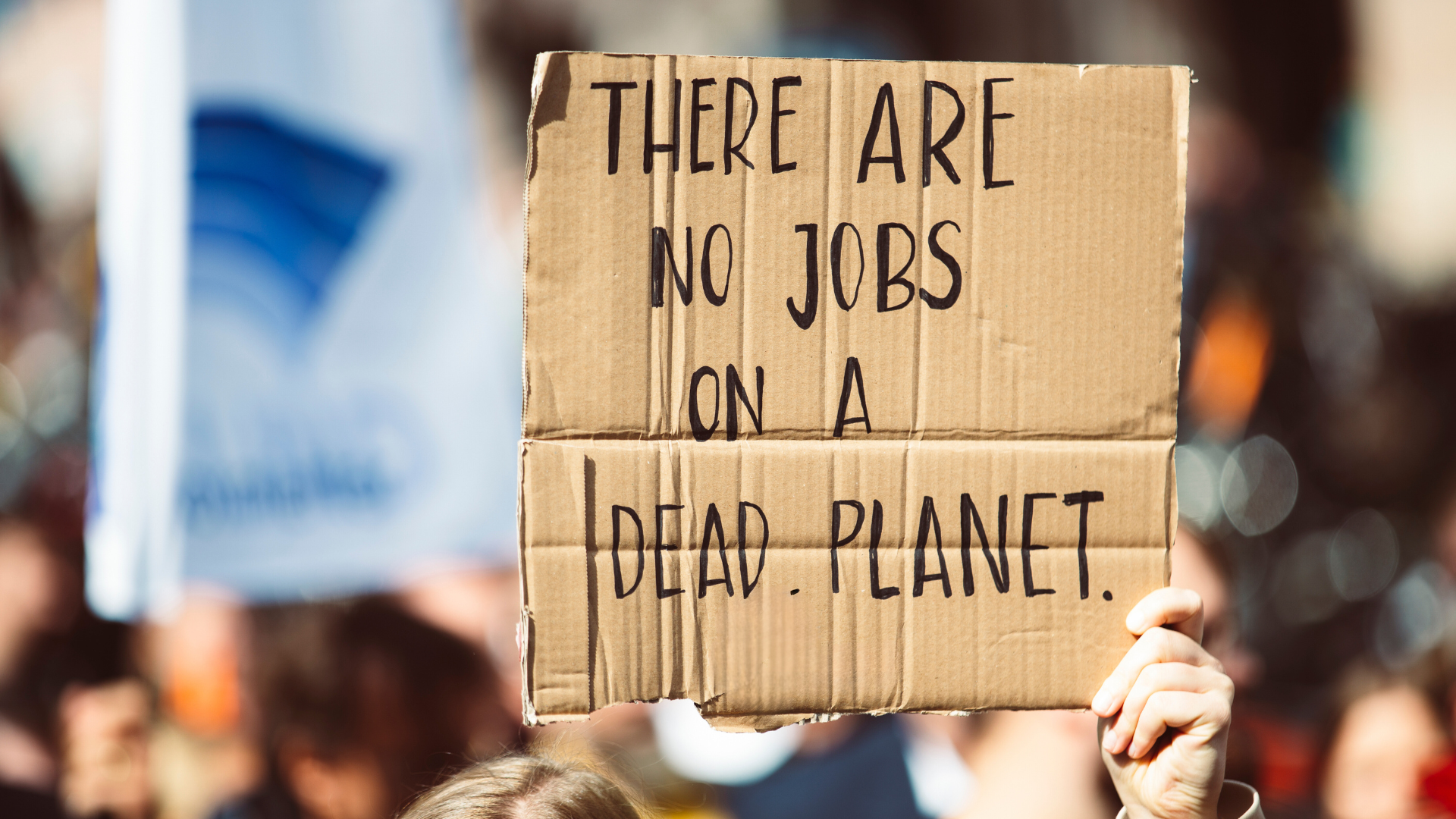 Cardboard sign that states "There are no jobs on a dead planet."